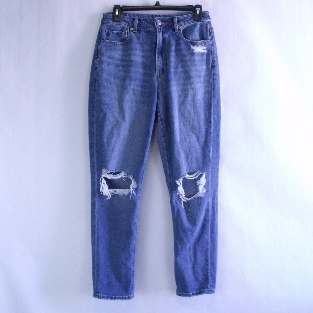 American Eagle Distressed Stretch Mom Jean